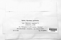 Image Associated With the Occurence